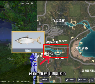 和平精英绿洲世界钓鱼位置大全 绿洲世界鱼类分布图汇总[多图]图片5